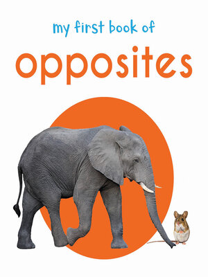 cover image of My First Book of Opposites
